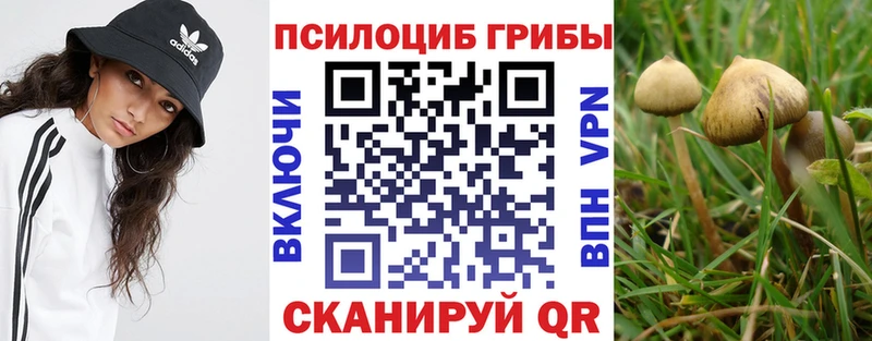 купить наркотики сайты mega онион Галлюциногенные грибы мухоморы Ясный